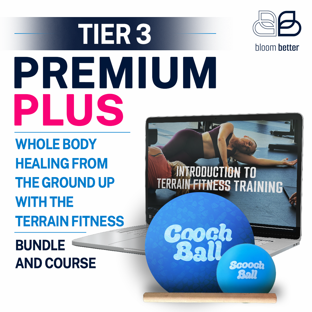 Foot Fix Shop Tier 3 Premium PLUS