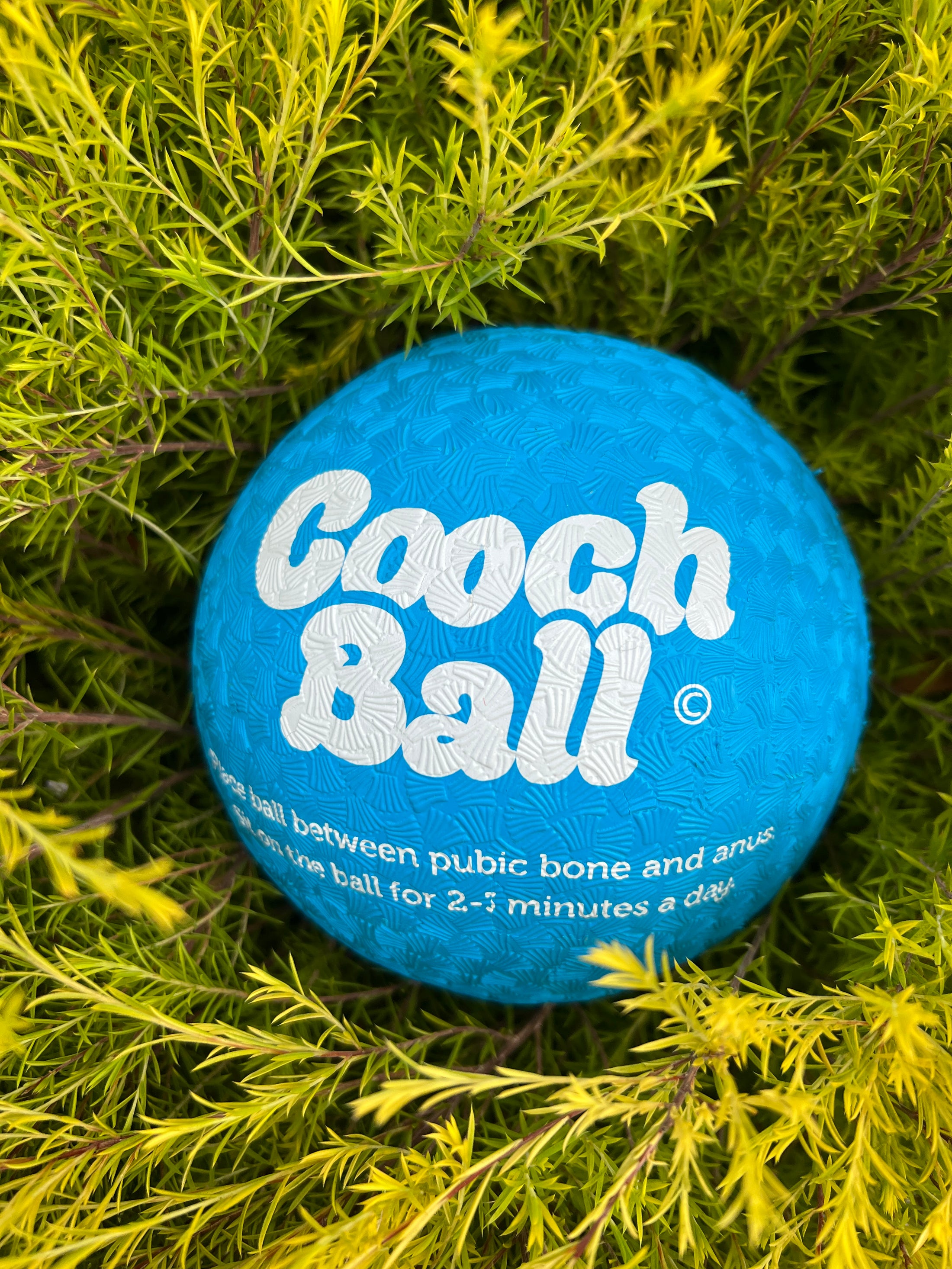 Cooch Ball Bloom Better
