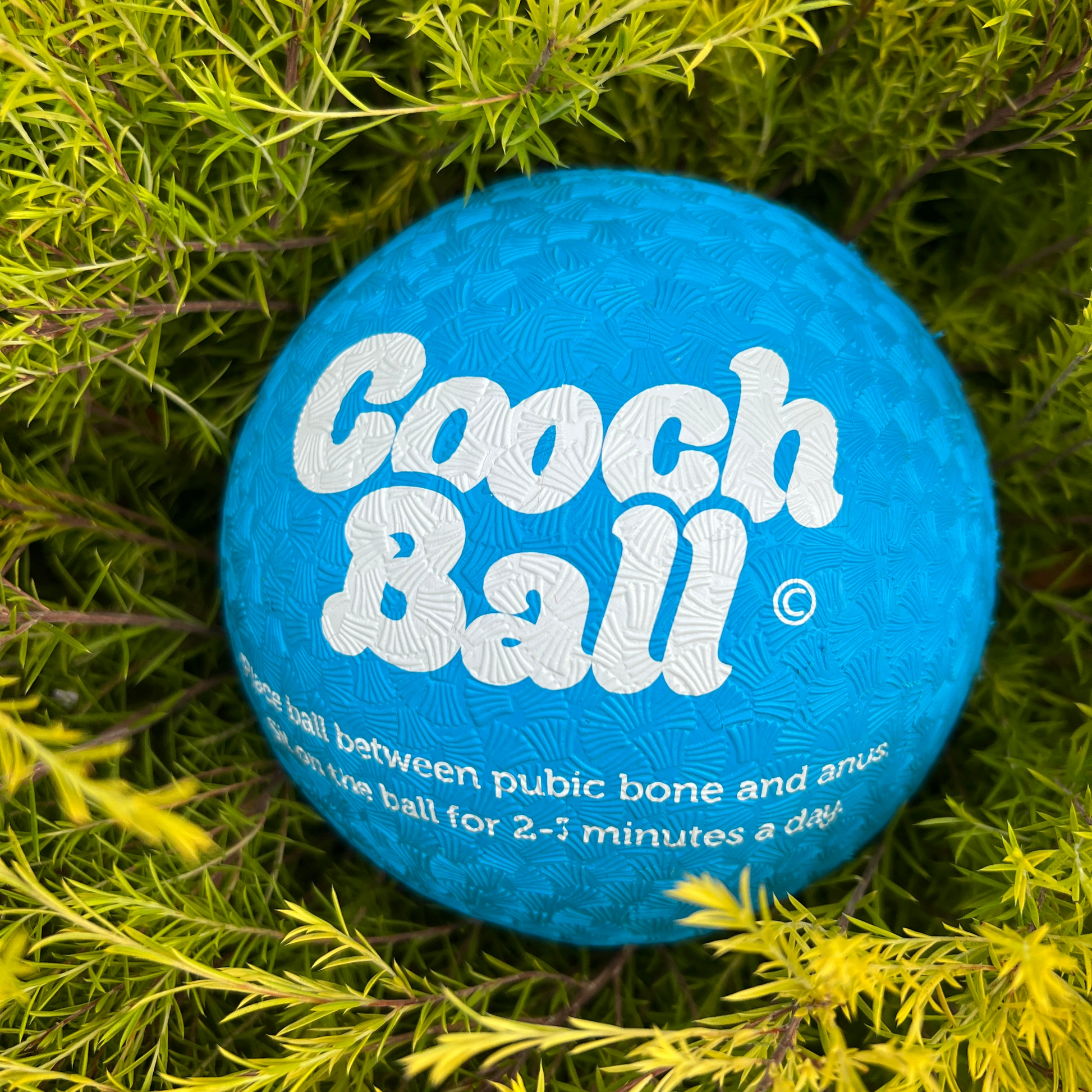 Cooch Ball - Bloom Better